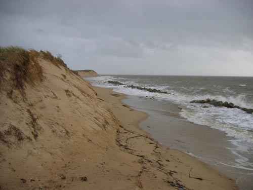 dune-autumn-2004.jpg