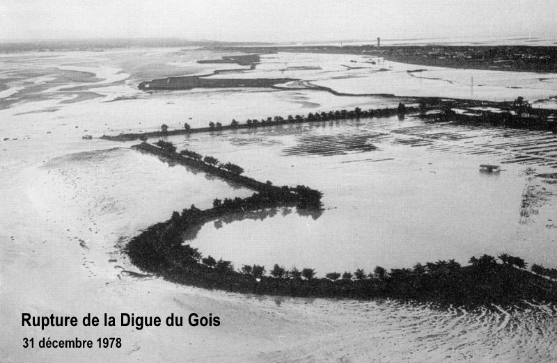 Après la rupture de la digue près du Gois le 31 décembre 1978