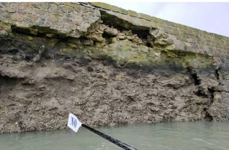 Vendée : de la mort-aux-rats découverte sur une plage sur l'île de  Noirmoutier